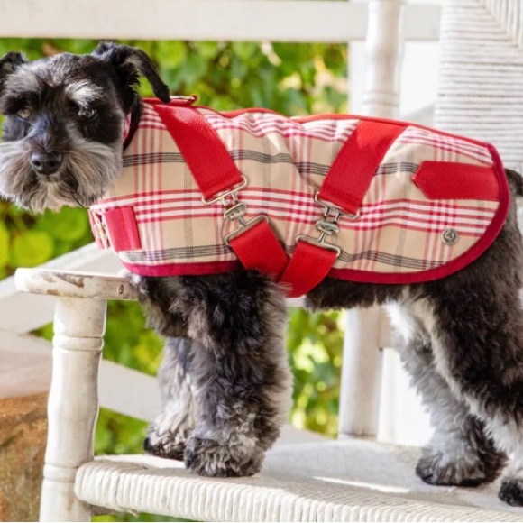 🌈 Rainbow Multi Plaid Dog Coat Jacket by Canine Styles NYC Boutique 🌈 - Picture 3 of 6